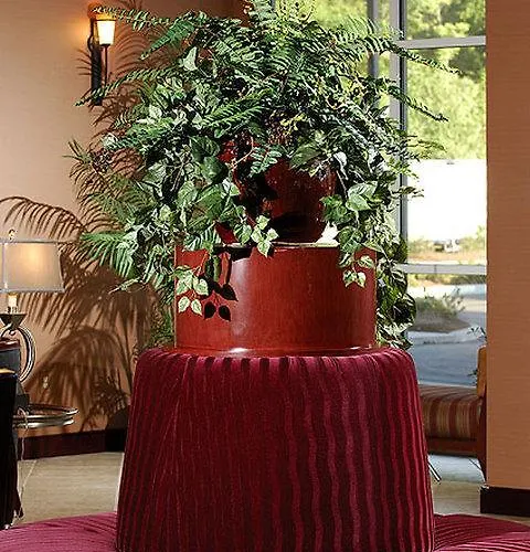 Hilton Garden Charleston Airport Hotel 3*